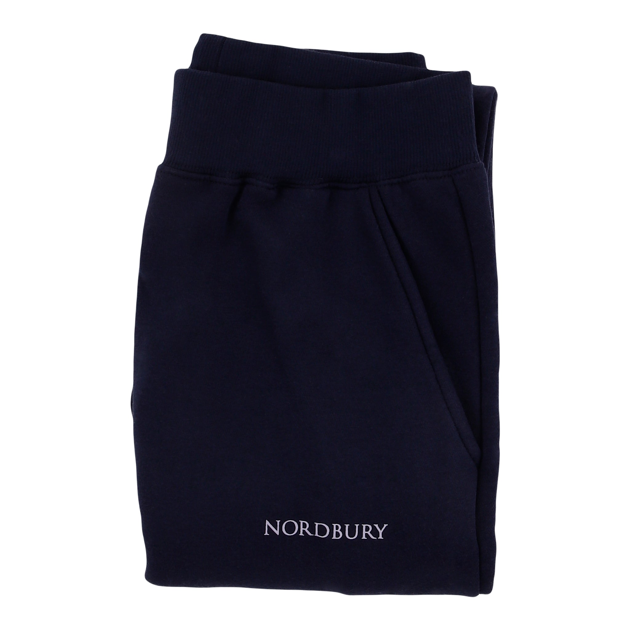 Men Jogger Navy Blue